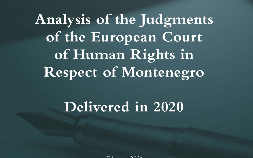 Analysis of MNE judgments before the ECHR delivered in 2020